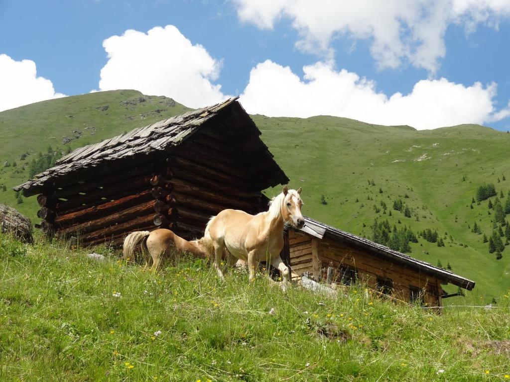 Gaestehaus Zwischenberger Obervellach Dış mekan fotoğraf
